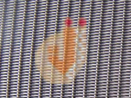 Open-Ended-Wire-Mesh